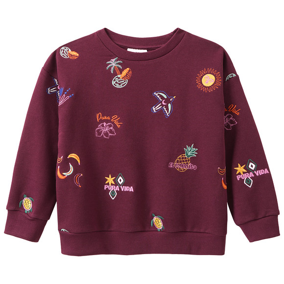 Mädchen Sweatshirt mit Allover-Stickerei