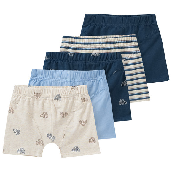 5 Jungen Boxer im Set