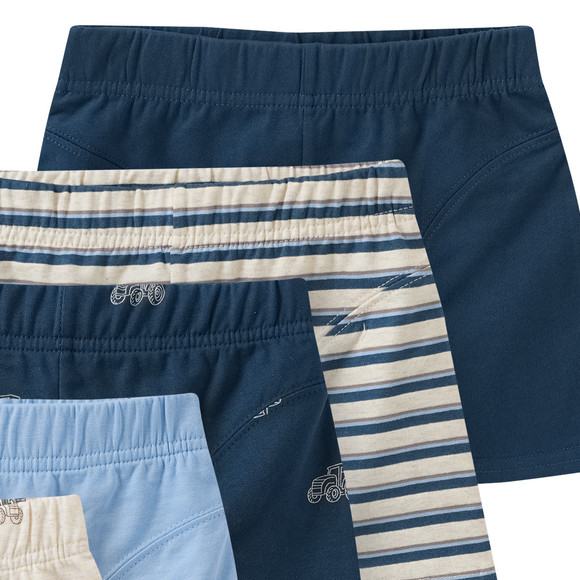 5 Jungen Boxer im Set