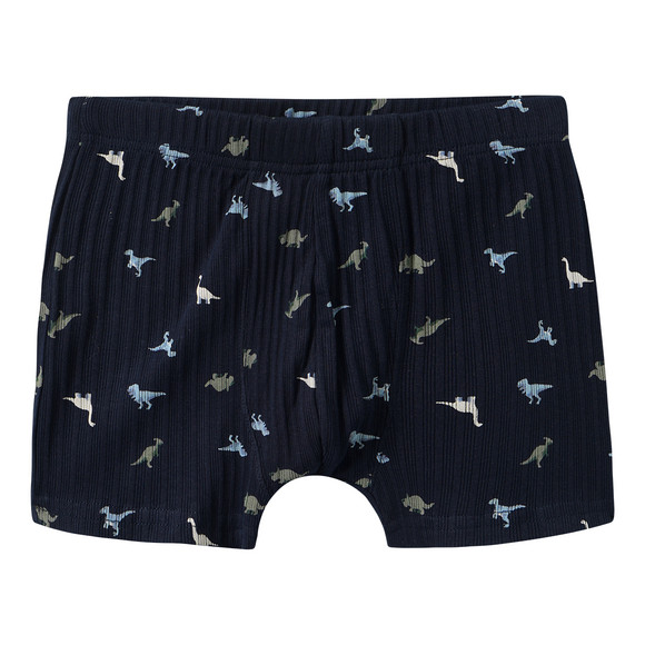 3 Jungen Boxer mit Dino-Motiven