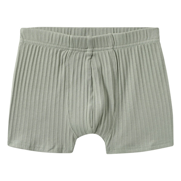 3 Jungen Boxer mit Dino-Motiven