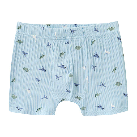 3 Jungen Boxer mit Dino-Motiven