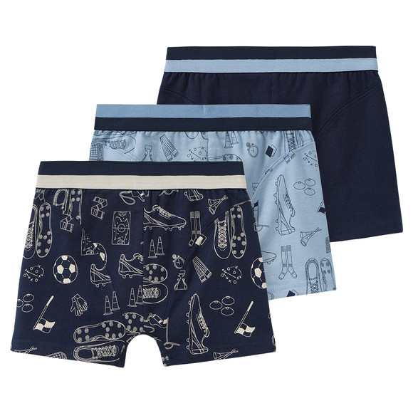 3 Jungen Boxer in verschiedenen Dessins