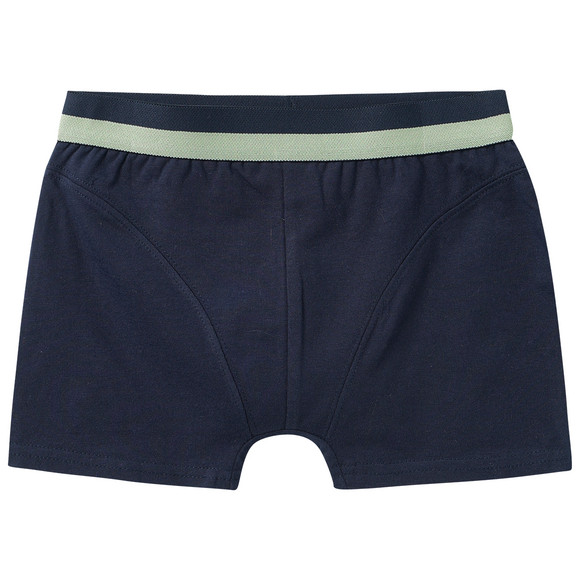 3 Jungen Boxer in verschiedenen Dessins