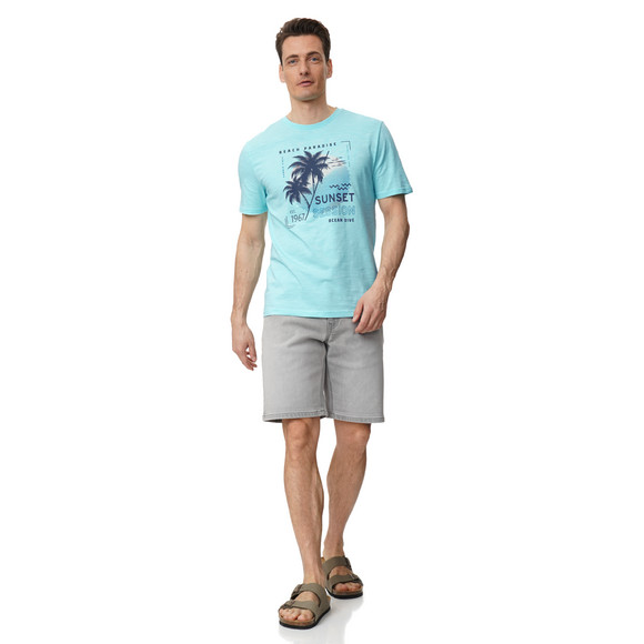 Heren T-shirt met print