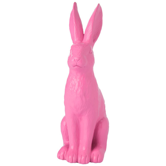 Decohaasje in felle kleur