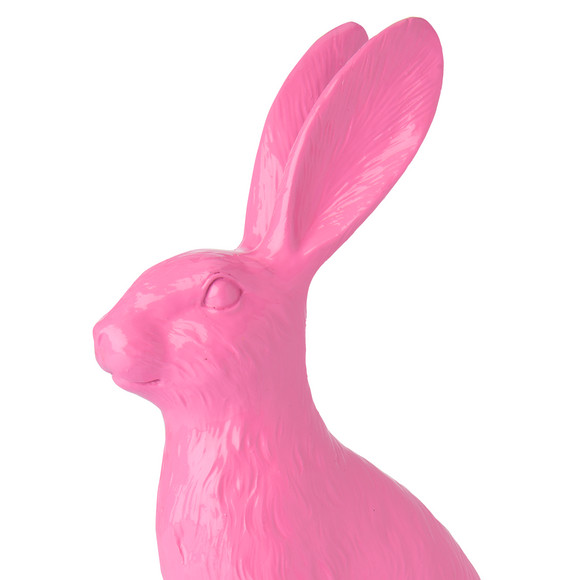 Decohaasje in felle kleur