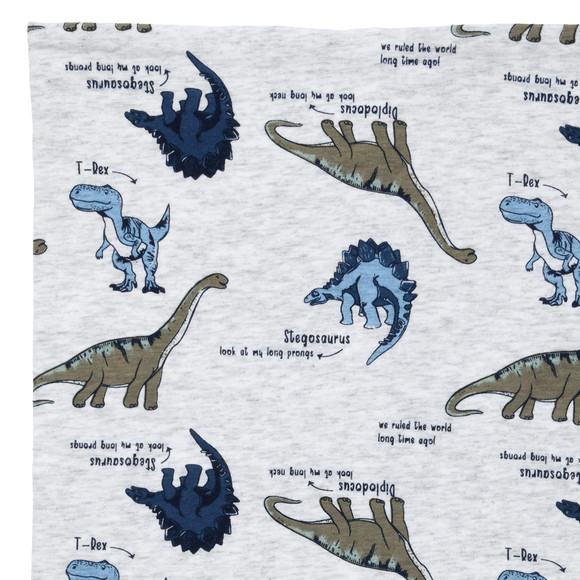 Jungen Snood mit Dino-Allover