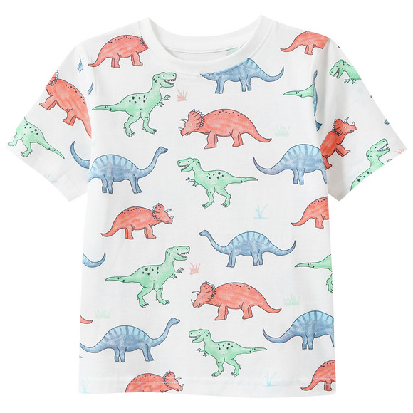 Jungen Set mit T-Shirt und Shorts
