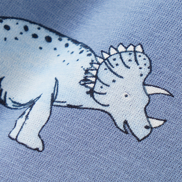 Jungen Set mit T-Shirt und Shorts