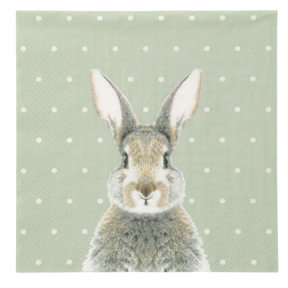 20 servetten in paaslook