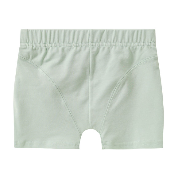 5 Jungen Boxer im Set