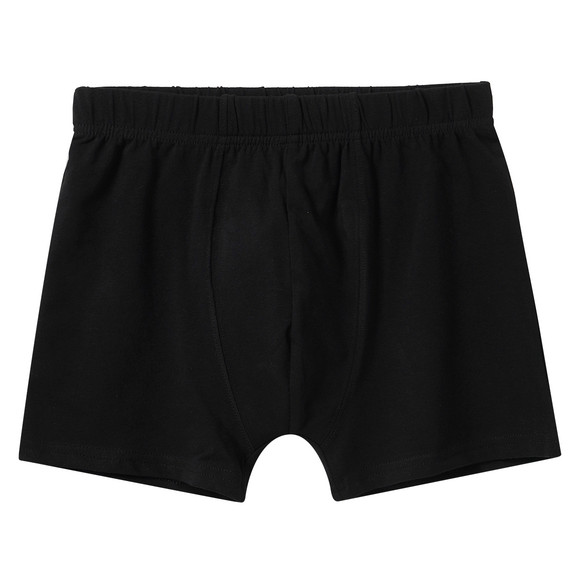 3 Jungen Boxer in verschiedenen Dessins
