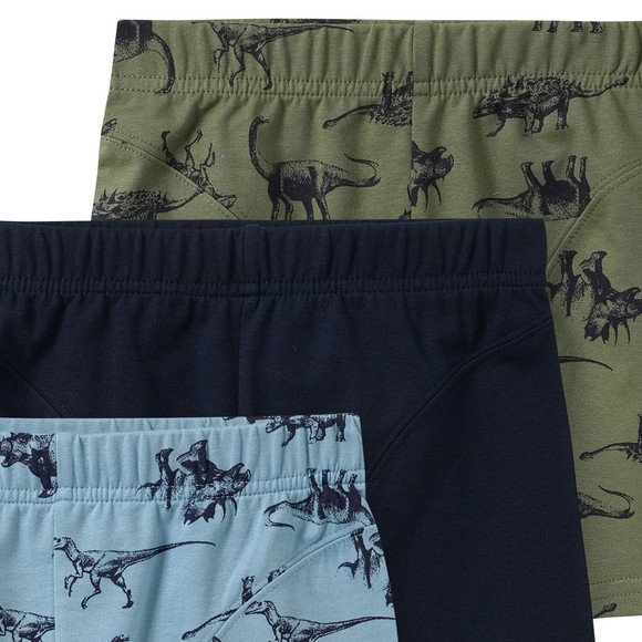 3 Jungen Boxer im Set
