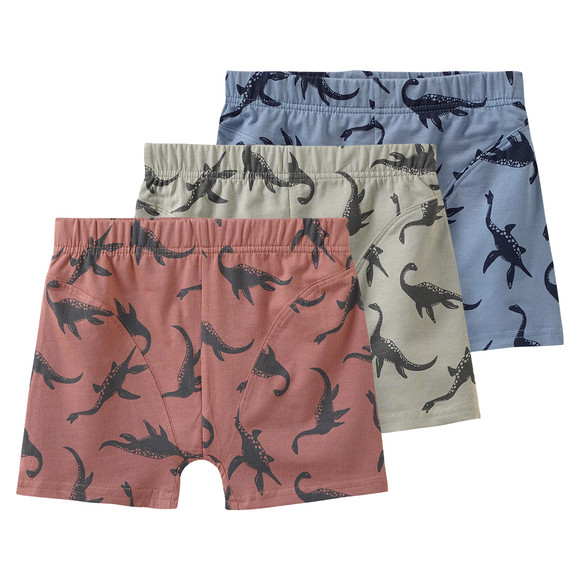 3 Jungen Boxer im Set