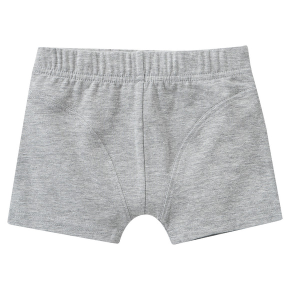 5 Jungen Boxer im Set