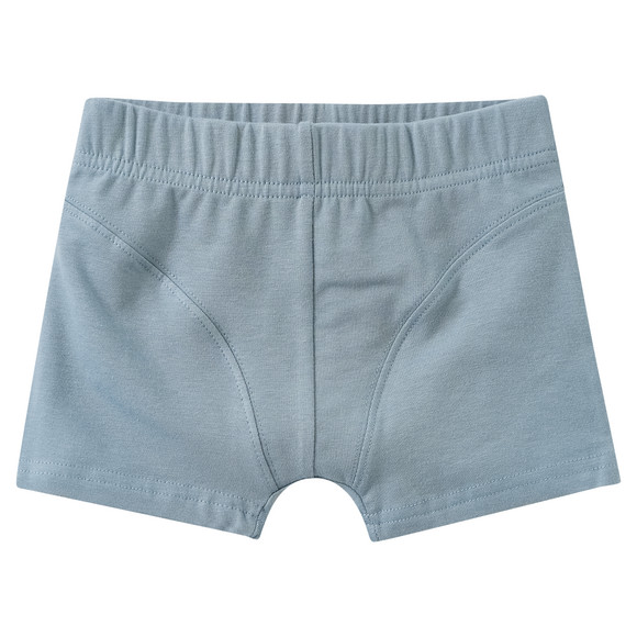 5 Jungen Boxer im Set