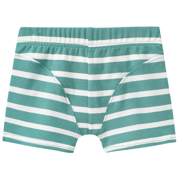 5 Jungen Boxer im Set