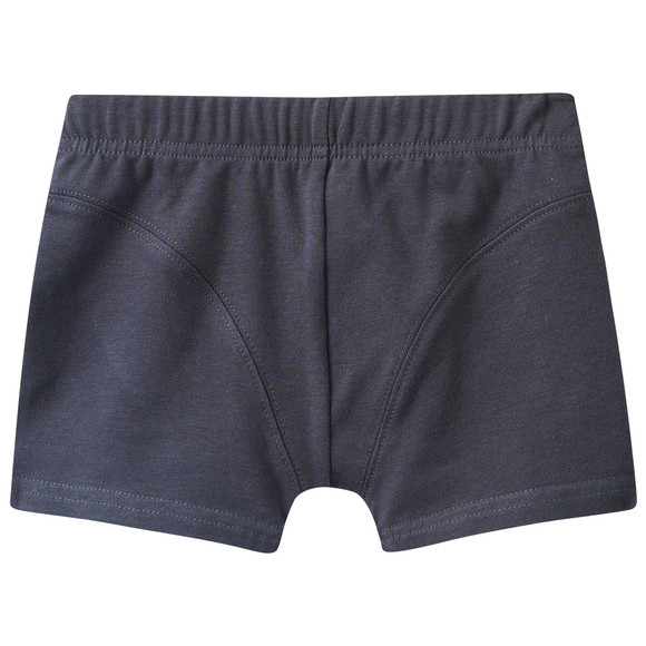 5 Jungen Boxer im Set