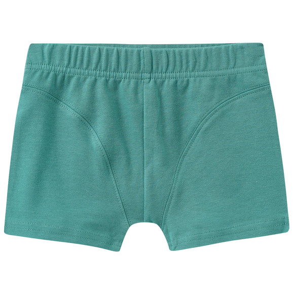 5 Jungen Boxer im Set
