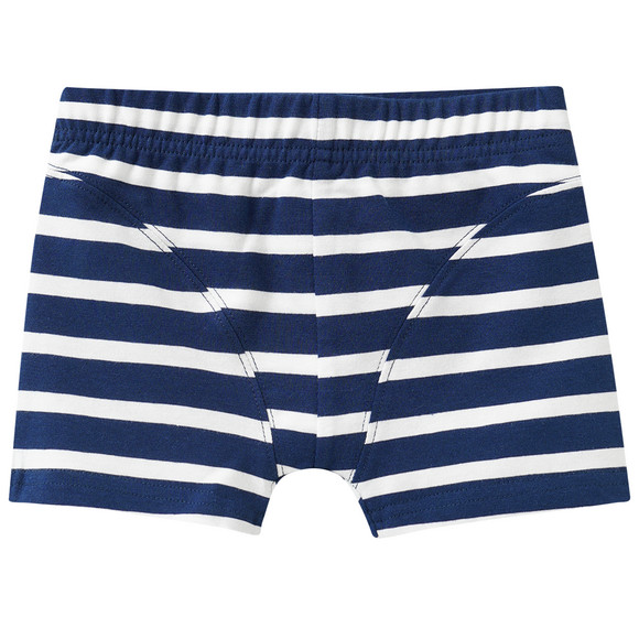 5 Jungen Boxer im Set