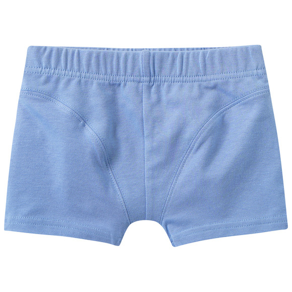 5 Jungen Boxer im Set