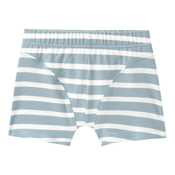 7 Jungen Boxer im Set