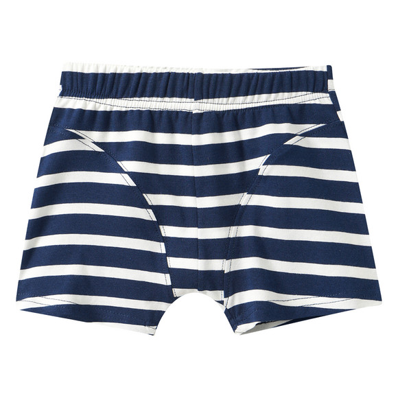 7 Jungen Boxer im Set