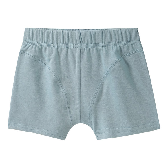 7 Jungen Boxer im Set