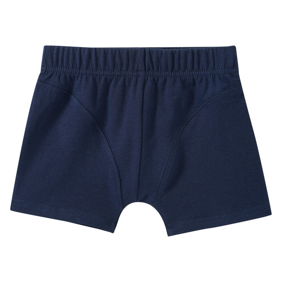 7 Jungen Boxer im Set