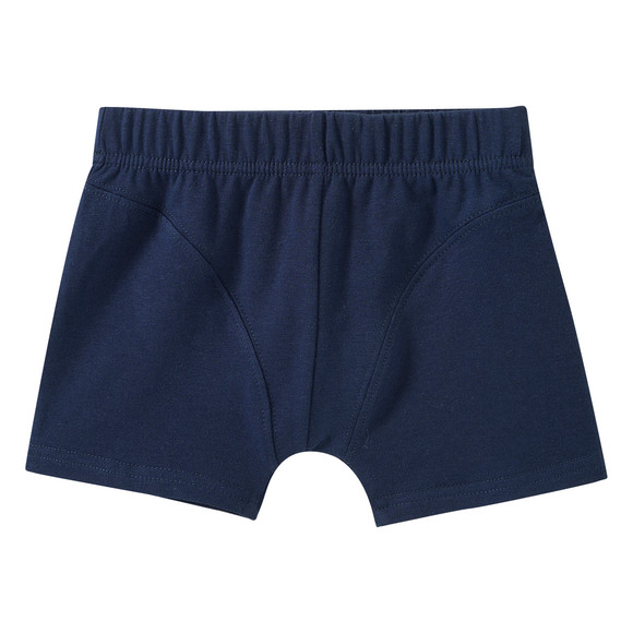 7 Jungen Boxer im Set