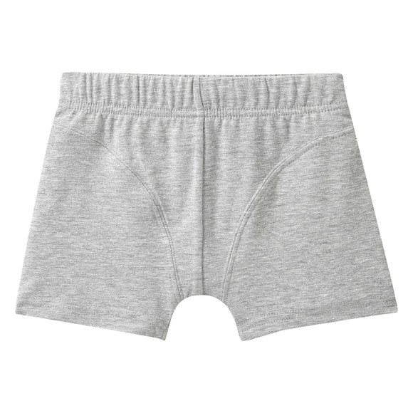 7 Jungen Boxer im Set