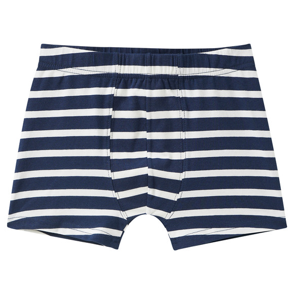5 Jungen Boxer im Set