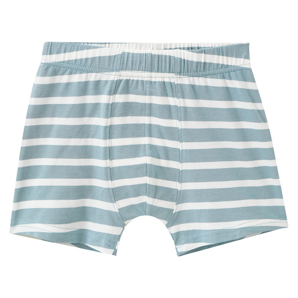 5 Jungen Boxer im Set