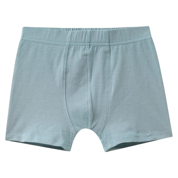 5 Jungen Boxer im Set