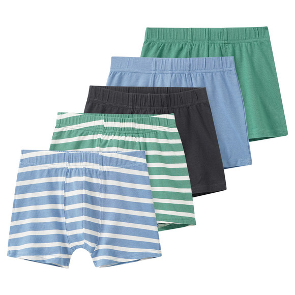 5 Jungen Boxer im Set