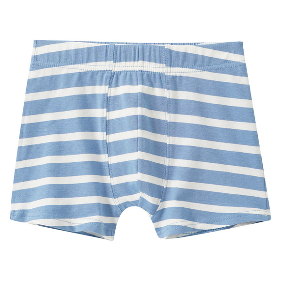 5 Jungen Boxer im Set