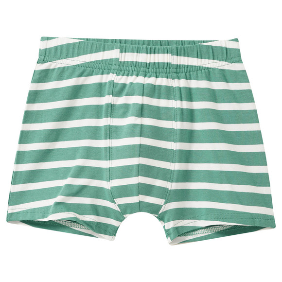 5 Jungen Boxer im Set