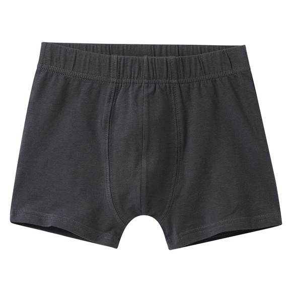 5 Jungen Boxer im Set