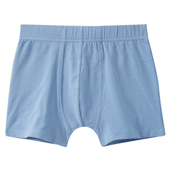 5 Jungen Boxer im Set