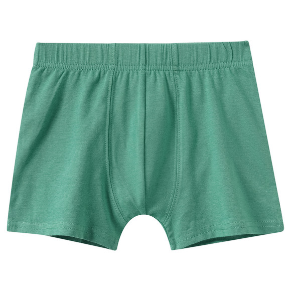 5 Jungen Boxer im Set