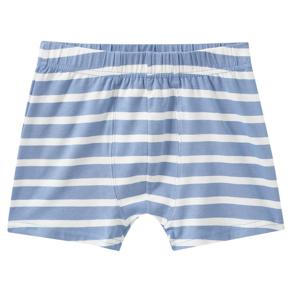 5 Jungen Boxer im Set