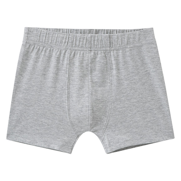 5 Jungen Boxer im Set
