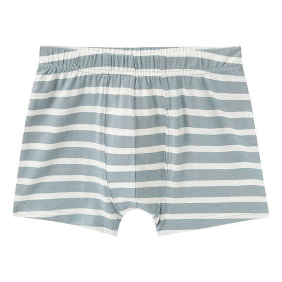 7 Jungen Boxer im Set
