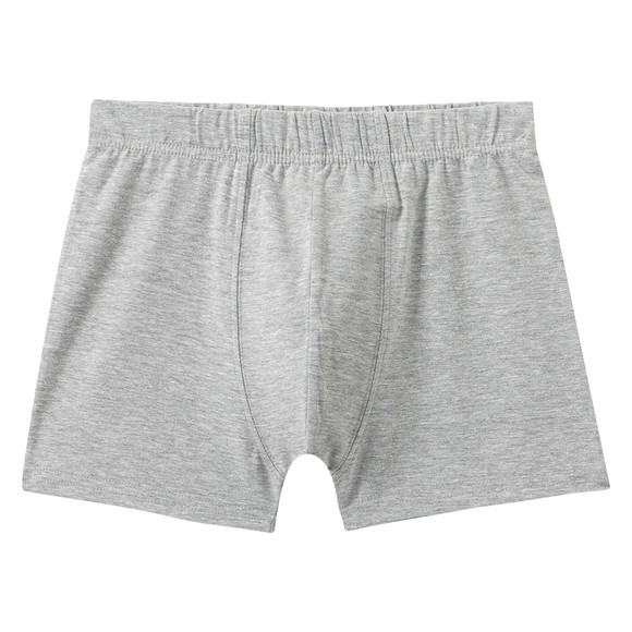 7 Jungen Boxer im Set
