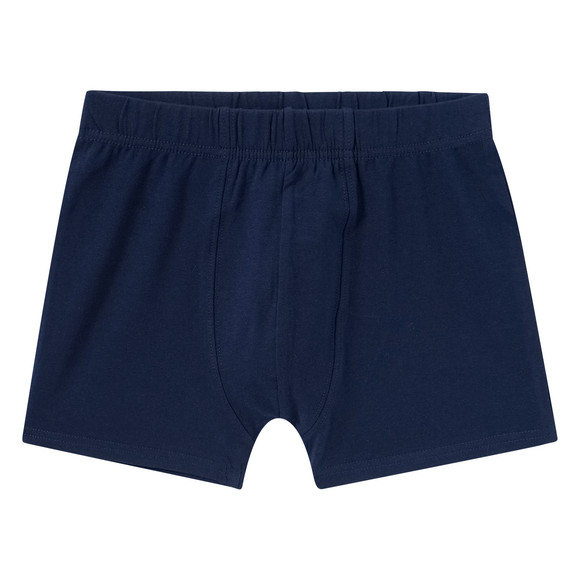 7 Jungen Boxer im Set