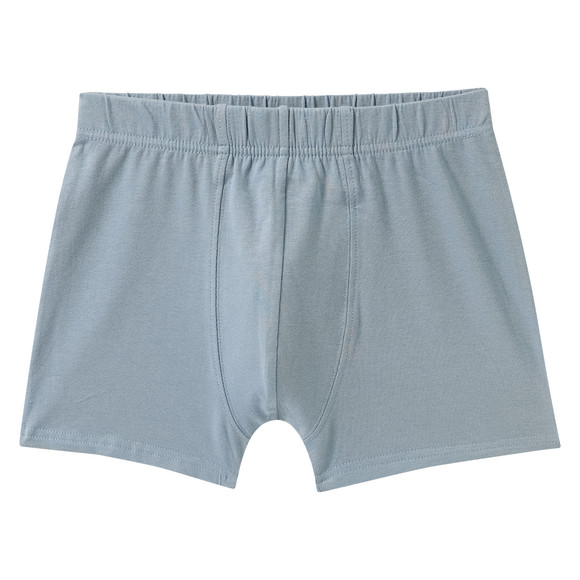 7 Jungen Boxer im Set