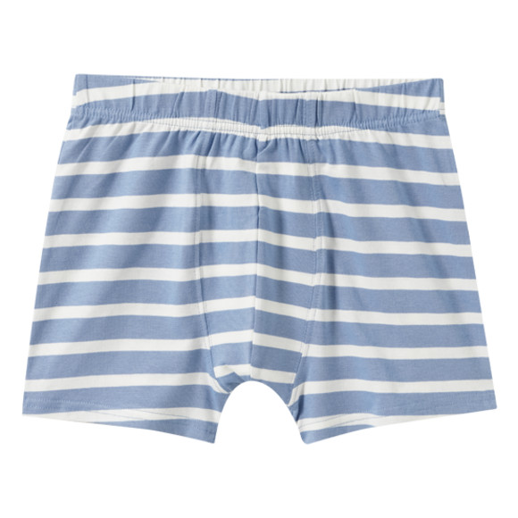 7 Jungen Boxer im Set