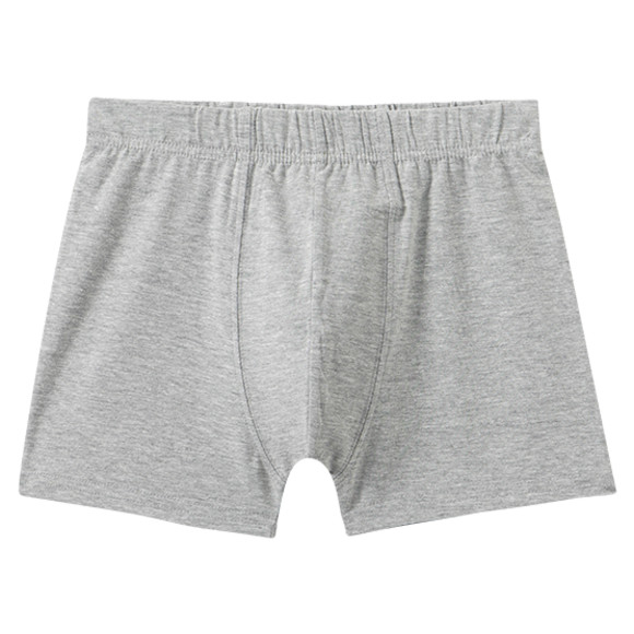 7 Jungen Boxer im Set