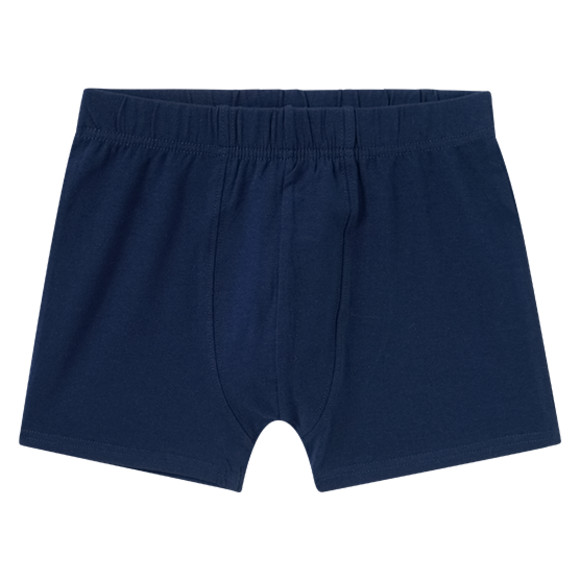 7 Jungen Boxer im Set